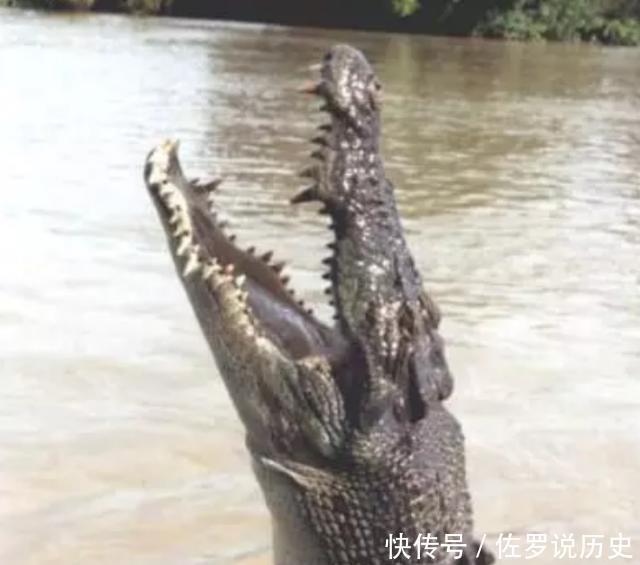 惨剩|千名日军误入鳄鱼的栖息地，一夜后，惨剩的几十人都吓疯了