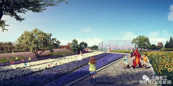 人文|乡村版“迪士尼”落户松江！这个亲子乐园你期待了吗？