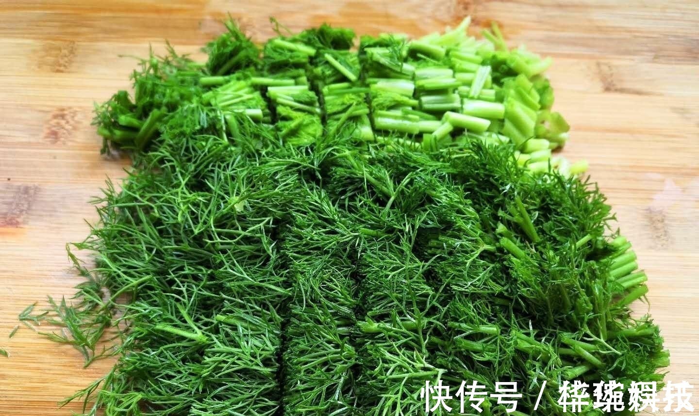 茴香|藏在身边的“养胃药”,是药也是菜,每天吃点,肠胃越来越健康