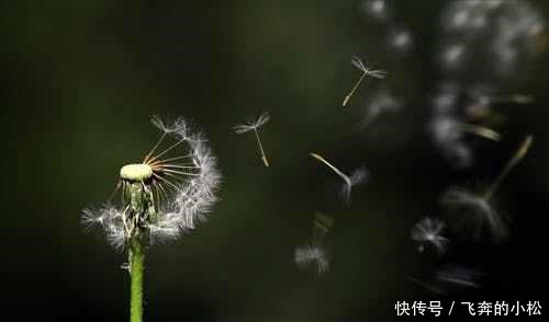 小说|《经典情节20种》之二探险,危险重重的小说情节会更吸引人