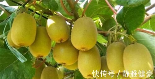 食物|45岁后，血管要勤“洗澡”，3种食物频繁吃，专门清血管垃圾