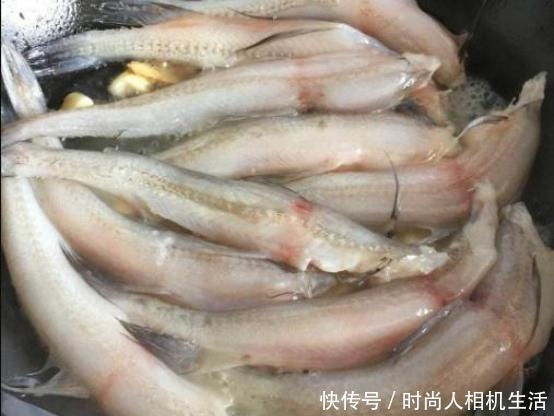 骨头|不懂吃这鱼可惜了,比虾便宜,比骨头补钙!