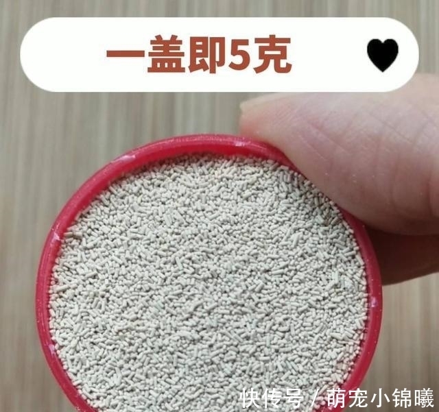 矿泉水瓶|家里没有电子秤，5克酵母怎么量？教你2个小妙招，非常实用