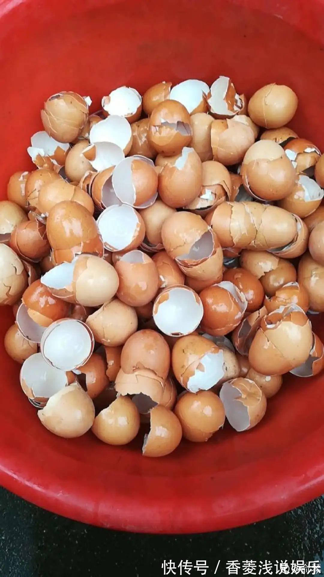 1把核桃垫盆底,不烂根、不招虫,疯长停不下来!