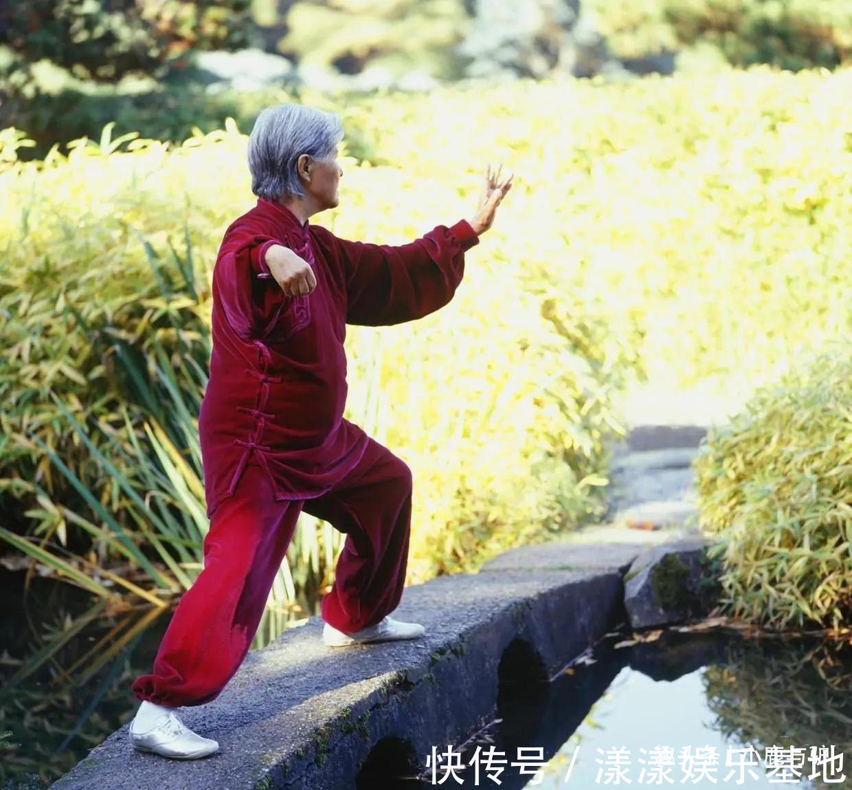 聊天记录|63岁阿姨懊悔:退休打太极1年,原本是锻炼,却被有心人算计了