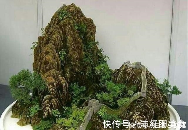 怎样才能修饰出更显自然的山水盆景