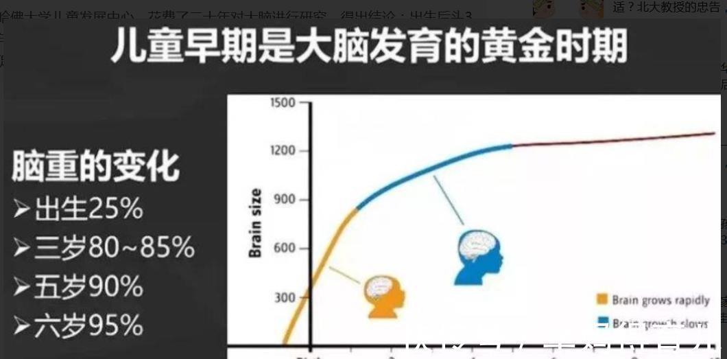 宝宝|哈佛研究发现：3岁前，宝宝多接受这些“刺激”，大脑会更聪明