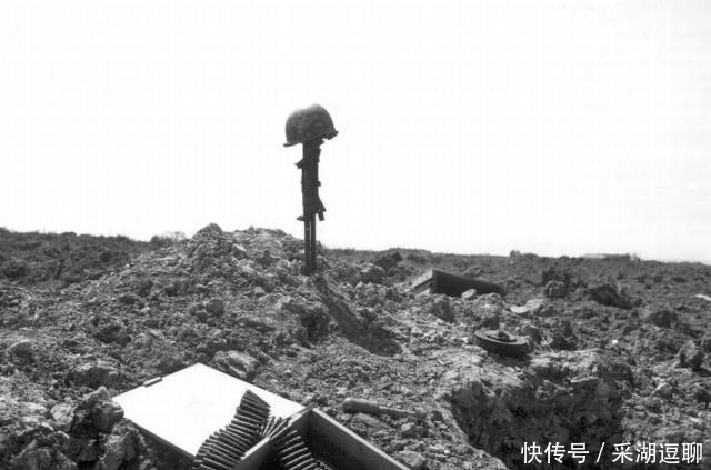 损失|诺曼底登陆,盟军288万,德军76万,双方各自损失了多少人?