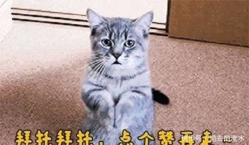 清茶淡饭|不要给老年人吃清茶淡饭了,这个问题你怎么看?