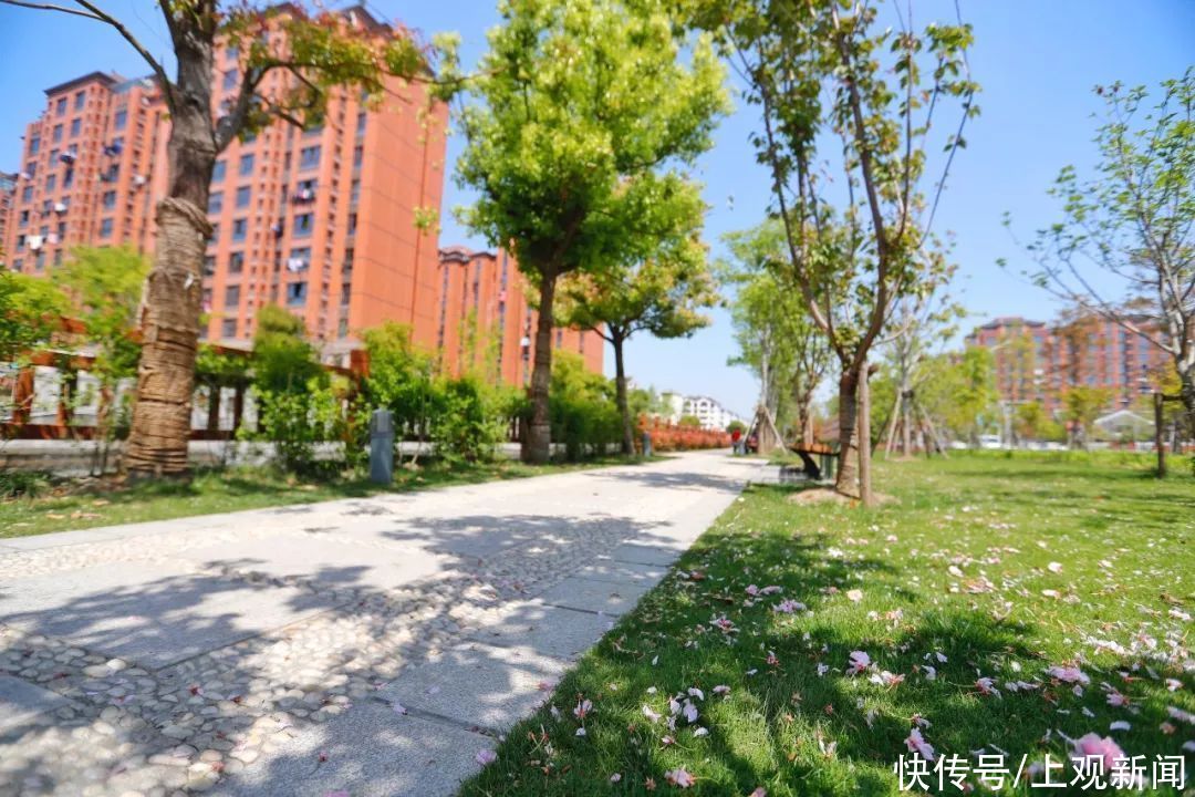 步道|休闲健身好去处！松江这里新增一条健身步道，在你家门口吗？