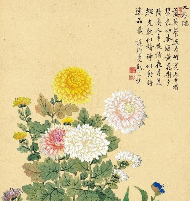 莫奈#清代名家画花卉,每一笔都栩栩如生,给人赏心悦目的感觉