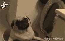 那些骗了我们很久的生理知识