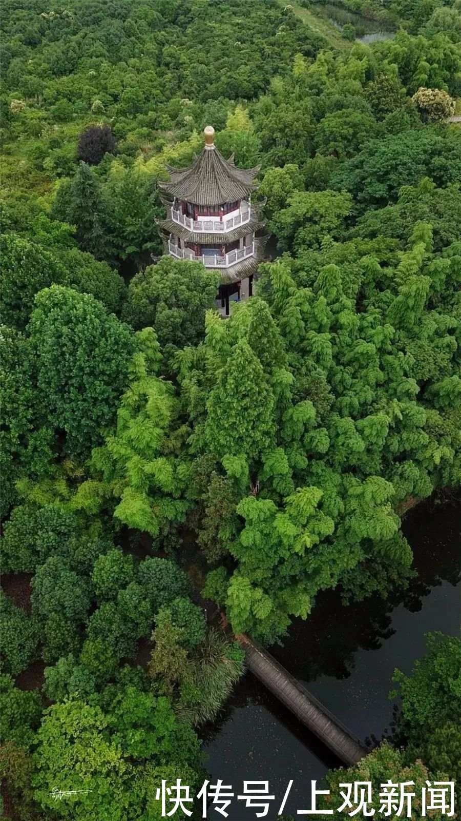 假山|拙政园、豫园、个园、沈园……长三角这些曲径通幽的园林，你去过几个？