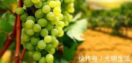 失眠|失眠反反复复？不妨常吃3种食物，能催人入眠，比吃药更管用