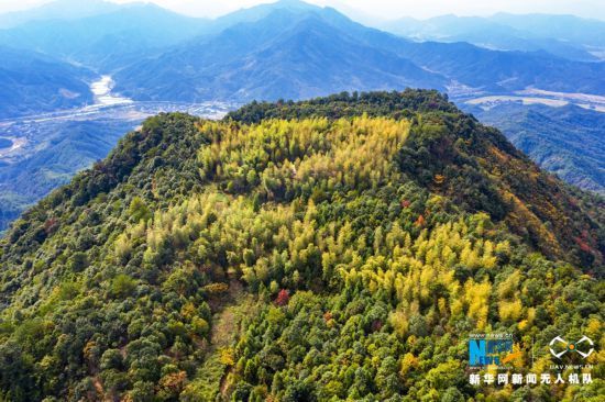 初冬|南平浦城：初冬岩顶山层林尽染 如水彩画般色彩斑斓