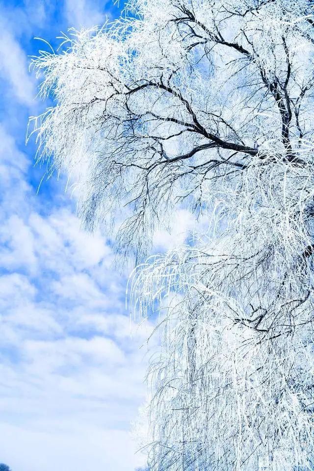 童话|冰天雪地，童话吉林