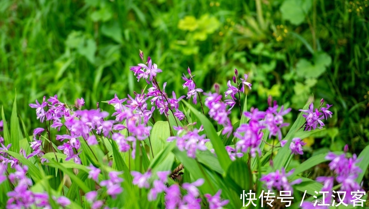 王维|九首情谊古诗词:青山空向一帆远,汀州落日五湖春