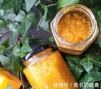 果酱|秋后,给孩子做一罐,作为点心吃!