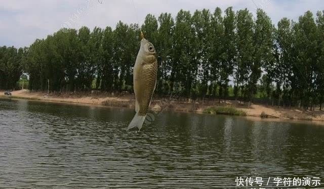 子线|浅滩、走水、刮大风，双活铅速钓潮白河