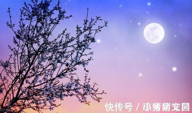 观月&《春江花月夜》到现在我都背不下来，为什么能到“孤篇盖全唐”？