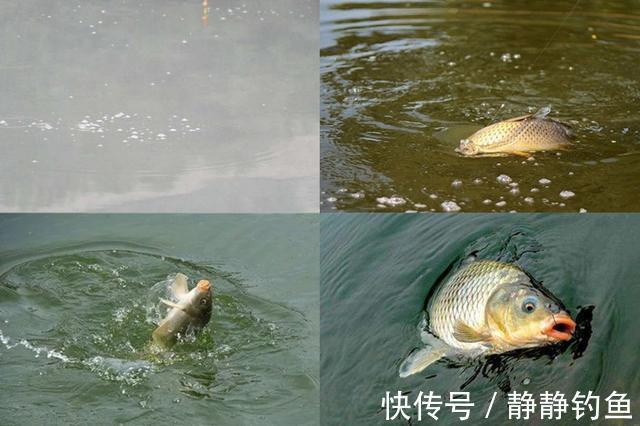 冬天太冷,鱼不好找?庆幸老钓手透露这几招,上鱼速度那叫一个快