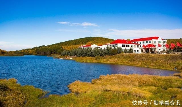 水草|大鲫鱼藏在哪这5个地方都是鱼窝,看你错过了多少鱼