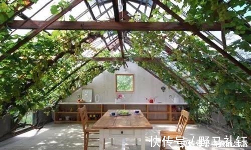 种菜|别墅院子这样设计，庭前栽花，屋后种菜，实现梦想中的田园生活！