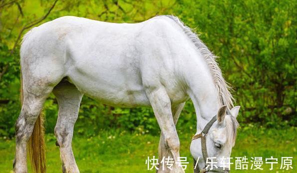 大金马|大金马，9月不再被束缚，乘风破浪，斩荆披棘，工作蓄势待发