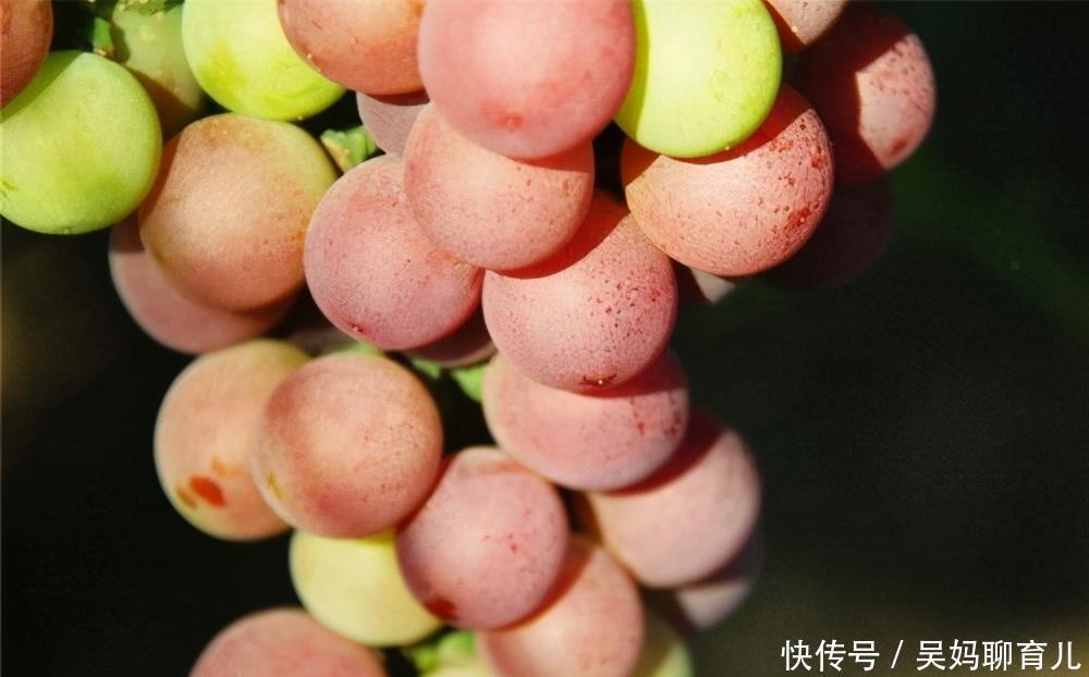 健康长寿|对身体最好的3种食物,营养丰富、排毒养颜,谁吃谁受益!