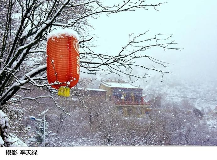 卧龙|在卧龙寺，听雪落下的声音