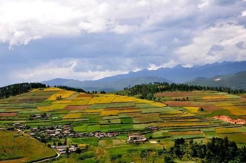 云南适合养老的地方，夏天比海口凉，冬天比长沙暖，知道是哪吗？