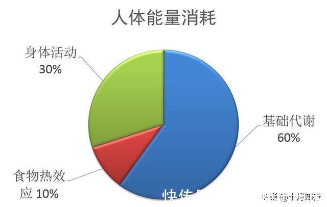 主因|代谢水平下降是导致中年发福的主因，做到4点，提升基础代谢水平