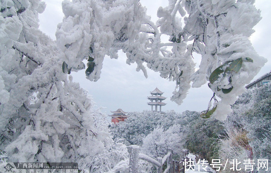 大明山|等你观赏！大明山景区12月26至28日将出现冰凌雾凇