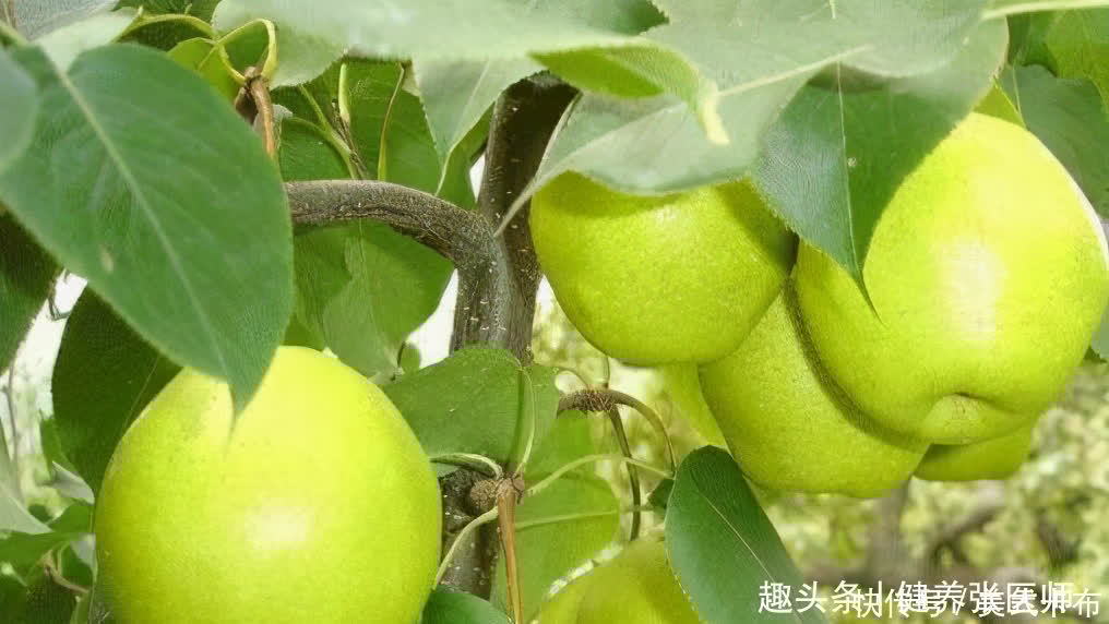 菌柄|最适合夏天吃的食物,排毒养颜,改善体质,大肚子不见了