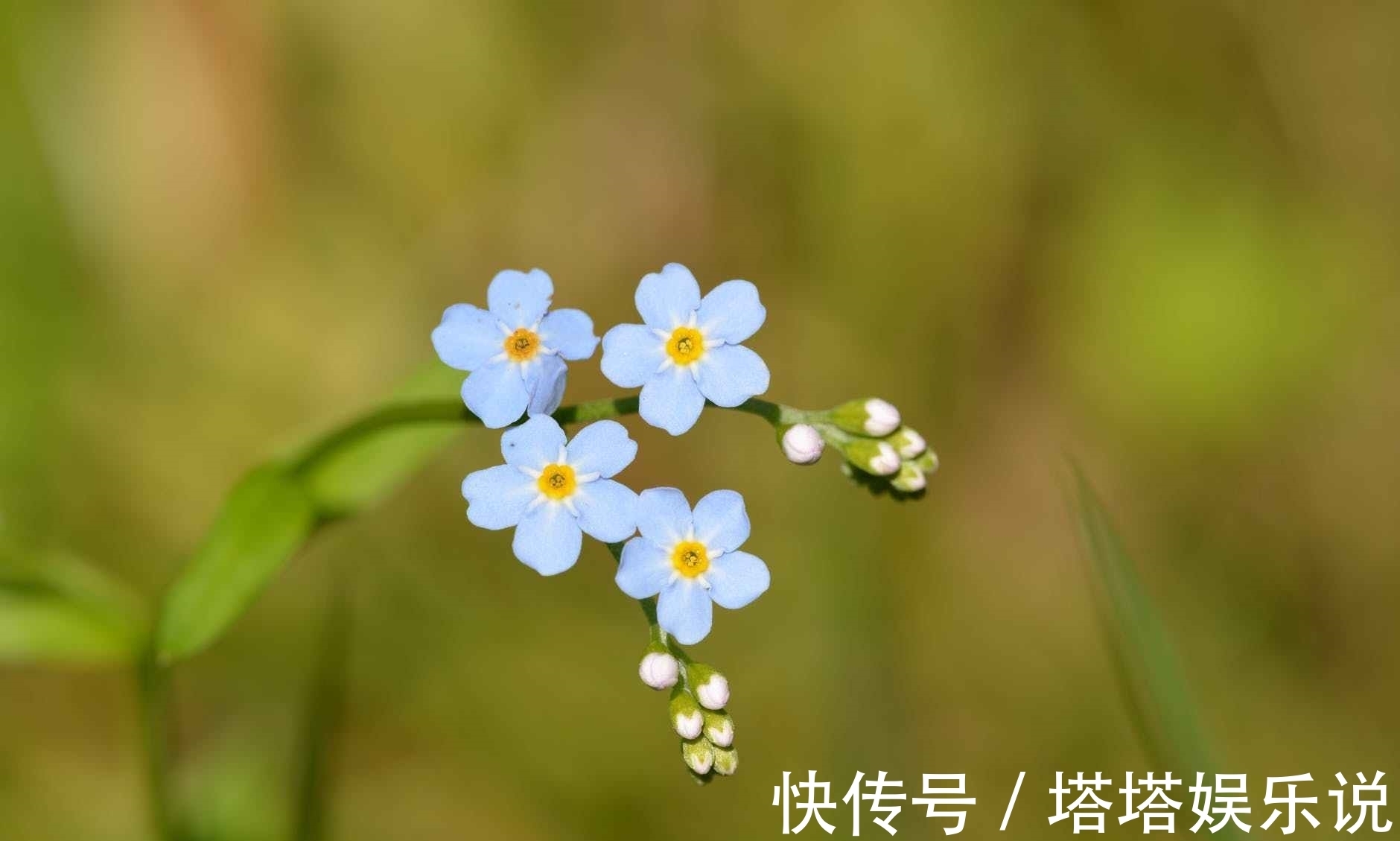 负重|世事无常，人穷别说话，位卑莫劝人