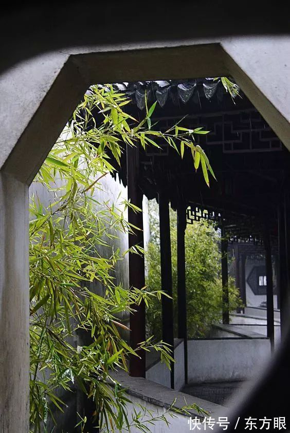 严歌苓&在岁月中修养自己!(深度)