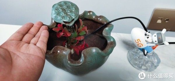 小呆评测 篇七十九：陶瓷质感高端大气，造型灵动焕发勃勃生机