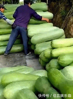 |「搞笑GIF」这是什么情况,知道现在的男孩子为什么不找女生玩了