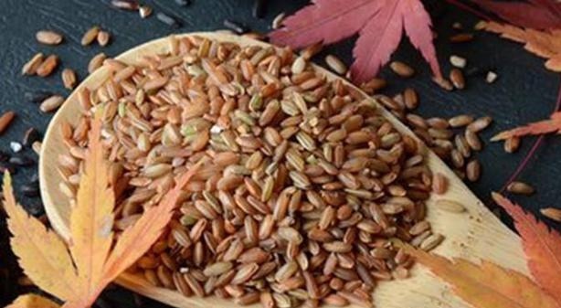 菠菜|想长寿先养生,四种食物换着吃,补充营养,软化血管,老人最爱吃