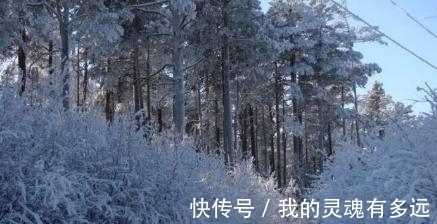 雷科夫|一家人在西伯利亚与世隔绝，生存了42年，和外界接触后却接连死亡