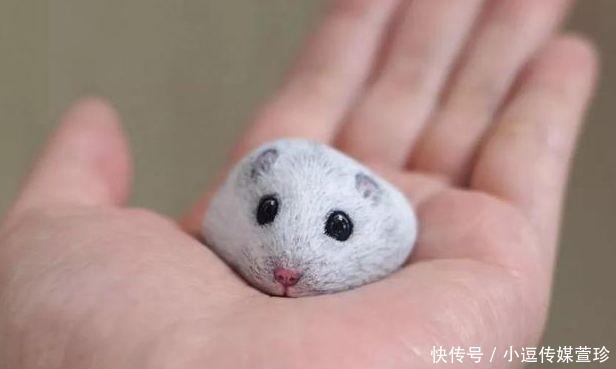 每块|还在疯狂的收藏奇石?只要给石头赋予“灵魂”,每块石头都是奇石