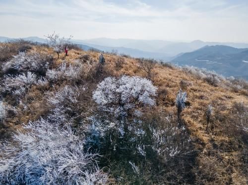 老年|大年初四济南南部山区自驾游，在彩西路旁的劈山邂逅雾凇奇观