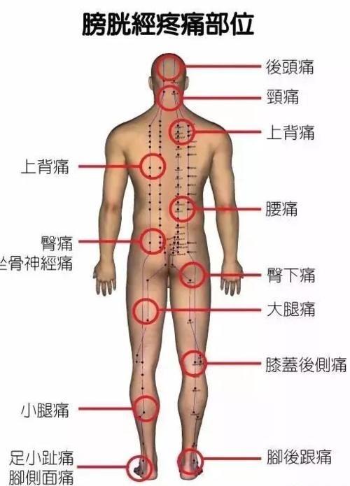 通畅|经络不通百病缠身,找准根源最重要,每天10分钟,疏通经络保健康
