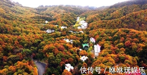 龙潭大峡谷景区|“豫见金秋”即刻出发！河南龙门石窟等16家5A级景区免票一个月[组图]