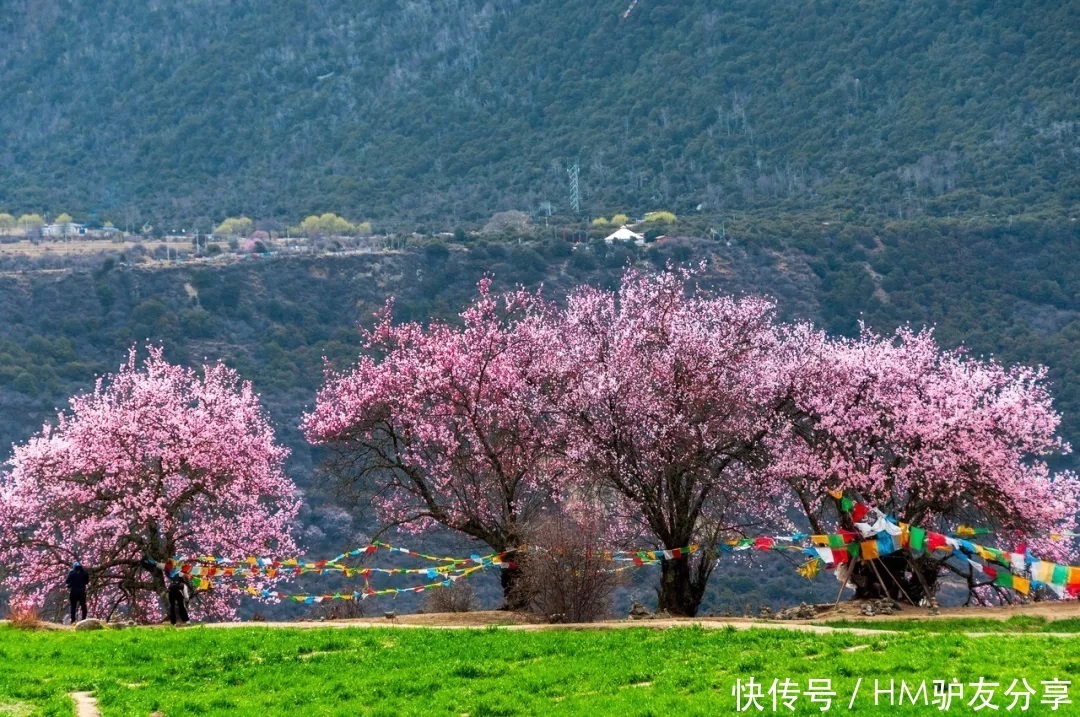 中年|春天最适合小住三五天的12个地方,错过这些美景,又要等一年