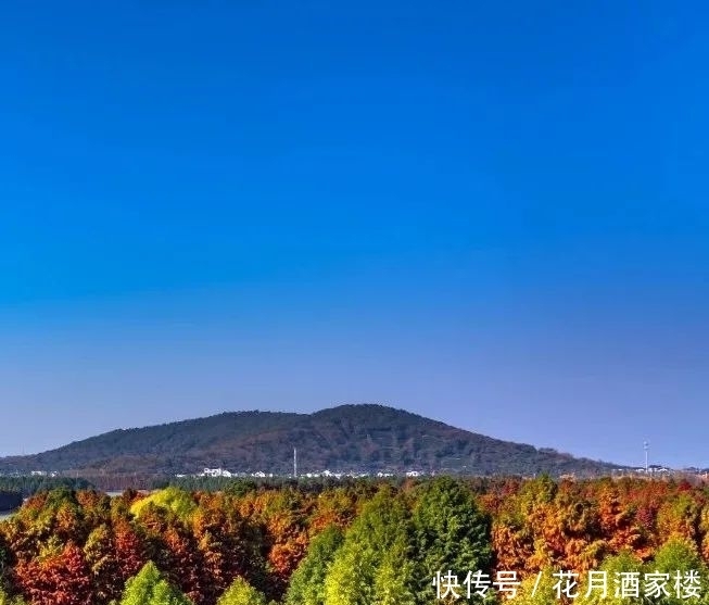 苏州太湖西山岛|苏州人的宝岛秘境,美成仙境,却被时光遗忘!