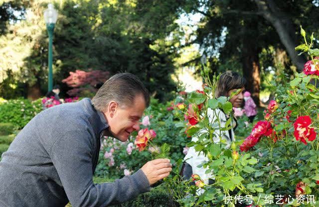 加利福尼亚州|美国圣马特奥：夏日公园