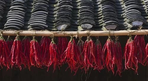 随息居饮食谱|一种不伤身体的吃辣方法，暖脾胃，升阳气，祛除体内湿气和老寒！