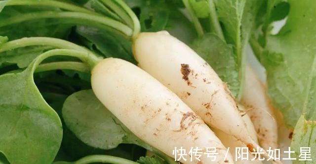 清热化痰|入冬后多做这早餐,清热化痰补充维C,中老年人多吃还可调节血压!