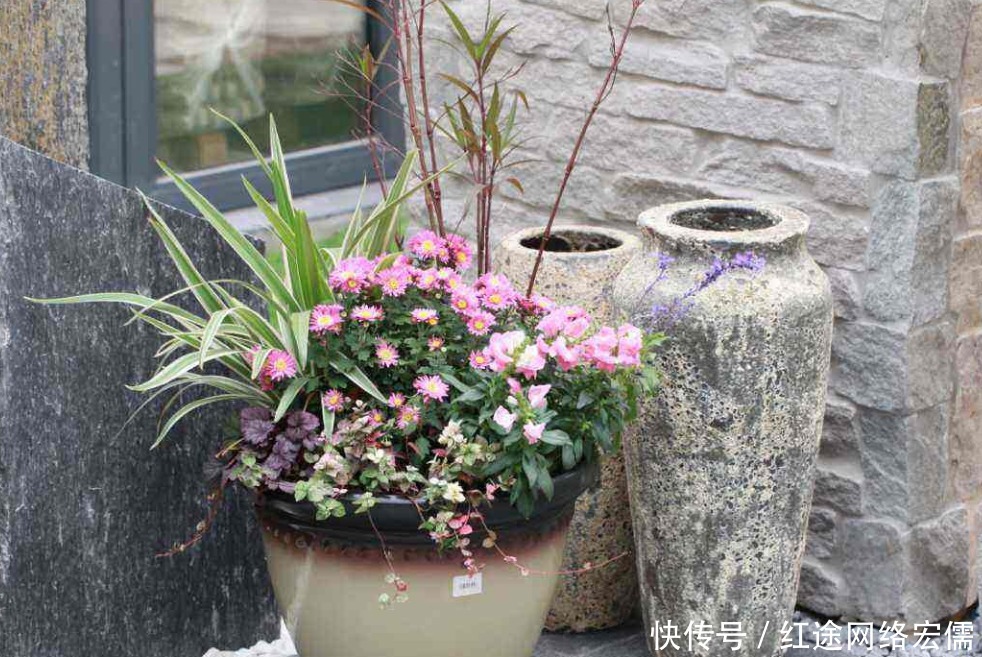 制作|如何制作一个盆景花园